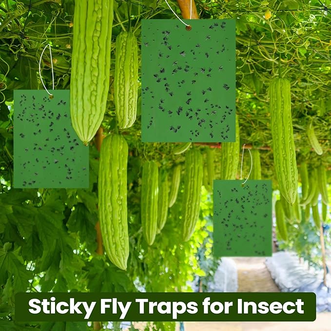 Qualirey 100 Pcs 6 x 8 Inch Sticky Traps for Plant Double Sided Sticky Trap for Gnats with Twist Ties Fly Traps for Fruit Insect Fungus Bugs Indoor Outdoor (Green)