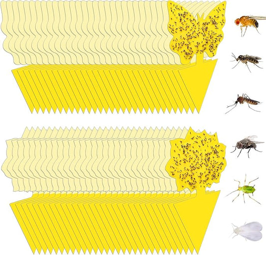 60 Pack Fruit Fly Trap, Fungus Gnat Trap Killer Protect Plants Indoor Outdoor, Double Sided Yellow Bug Sticky Traps for Fungus Gnat, Fruit Fly and Other Insects