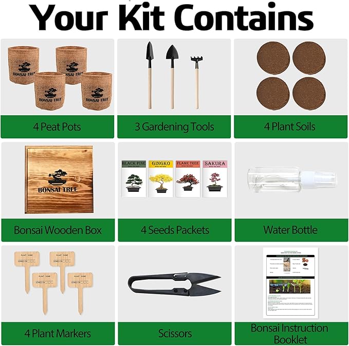 4 Bonsai Tree Seeds with Complete Growing Kit & Wooden Planter Box, Indoor Bonsai Tree Starter Kit, Great Potted Plants DIY Gift for Adults