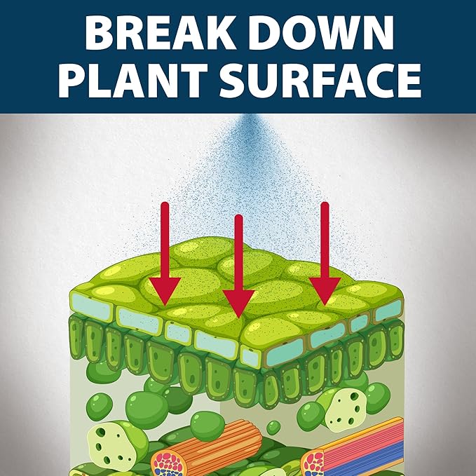 Airmax Treatment Booster Plus Enhances Treatment Effectiveness - 1 Gallon