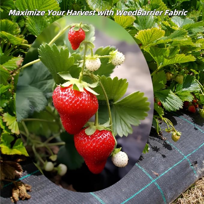 2PCS 3Ftx50Ft Weed Barrier Landscape Fabric, 3.2oz Weed Block Fabric Heavy Duty, Easy Setup Weed Blocker, Weed Control Cloth for Outdoor Gardens Farming Landscaping