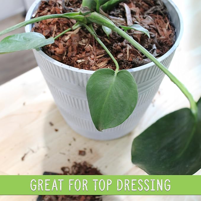 Houseplant Mulch (8 Quarts), Small Bark Wood Chips for Indoor, Patio, Potting Media, and Much More!