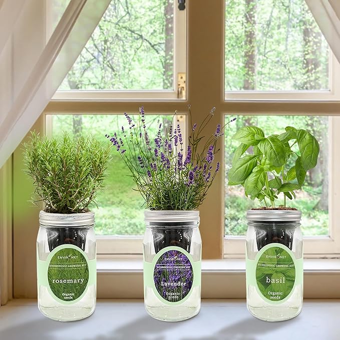 Hydroponic Herb Growing Kit Set, Self-Watering Mason Jar Herb Garden Starter Kit Indoor, Grow Your Own Herbs from Seeds (Lavender, Rosemary & Basil)