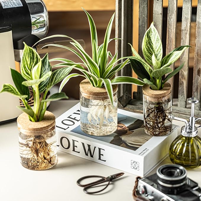 Glass Propagation Stations for Plants -Desktop Flower Vases,Propagation Flower Vases Set – 2 Sizes Planter Propagated Jars,for Plant Cuttings,for Living Room, Bedroom Decoration,Home,Office Decor(4)