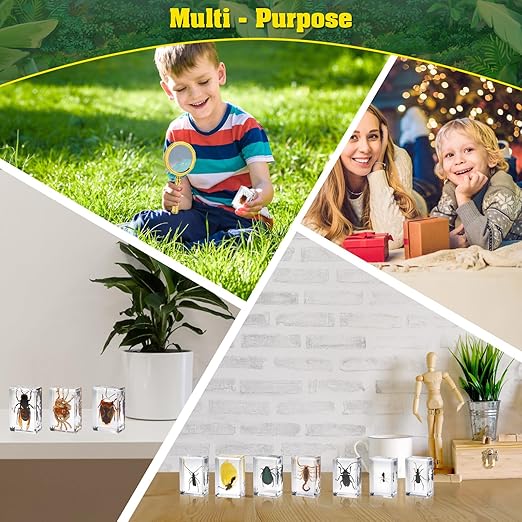 15 Insect specimens,Real Specimens of Various Butterflies and Beetles Made of Resin, Used for Science Classroom Science Education Animal Specimens, Bug Preserved,Oddities, Biology (15 Pcs Beetles)