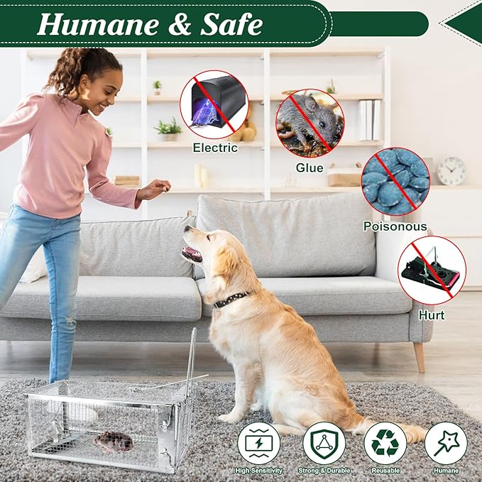 Humane Rat Trap, 10.75"x5.43"x4.41" Metal Mouse Cage Traps and Other Small Live Animals Cage, Easy to Catch and Release, Work for Indoor Outdoor