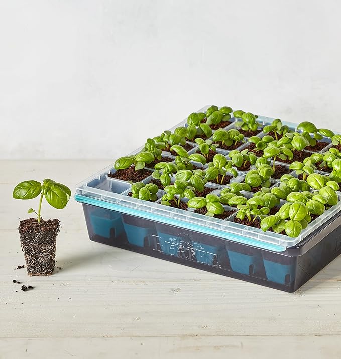 Burpee SuperSeed Seed Starting Tray | 36 Cell Reusable Seed Starter Tray | for Starting Vegetable, Flower & Herb Seeds | Indoor Grow Kit for Plant Seedlings | for Germination Success