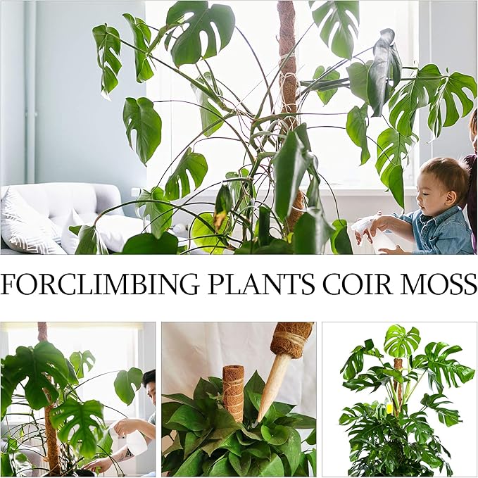 Moss Pole, Augshy 48 Inch Moss Poles - 4Pcs 12 Inch Coir Totem Poles Moss Climbing Sticks for Indoor Creepers Plant Support Extension