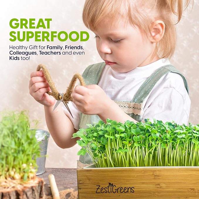 Self-Watering Microgreens Growing Kit – Easiest Way to Grow Fresh Microgreens at Home. Includes Reusable Tray, Organic Seeds, Grow Mats & Stylish Bamboo Frame – No Soil, No Mess (Salad & Broccoli)