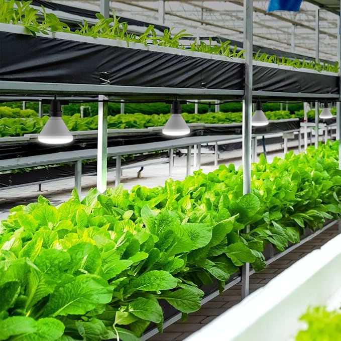 SANSI 192W String LED Grow Light, 1500W Equiv. Full Spectrum 4000K Daylight Plant Light, 120° Wide Beam Angle IP54 Waterproof High PPFD LED Lamp Outdoor for Greenhouse