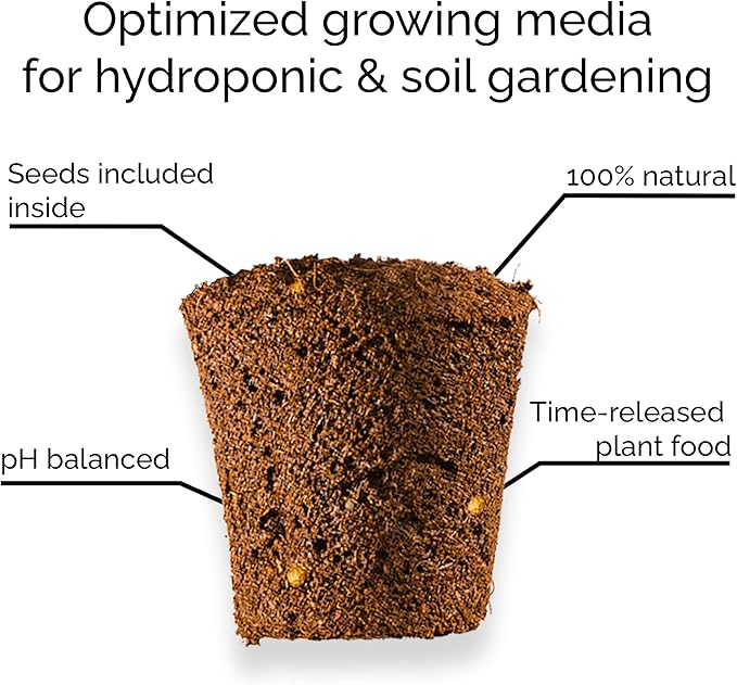 Gourmet Looseleaf Lettuce Blend - Complete Seed Pod Plugs with Plant Food - 10 Pods for Hyrdoponic Gardens, Click and Grow, Lettuce Grow and Outdoor Gardens