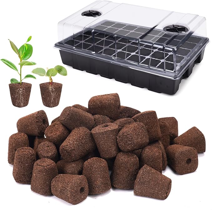 40 Pcs Grow Sponges with Tray, Starter Plugs for Seeds or Cuttings, Great for Soil, Tray or Planting Pods Plant Rooter, Promotes Herbs, Vegetables and Flowers Growth