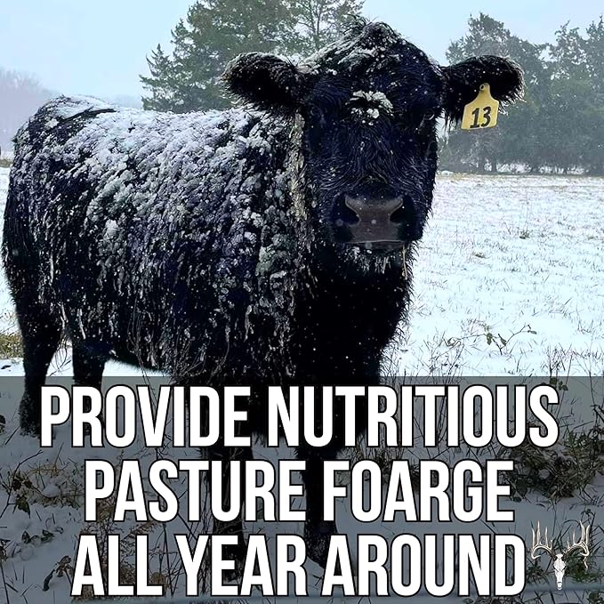 Memas Moo Mix, 50LB Bulk, Farm Pasture Seed Blend for Horse, Cattle, Pig, Goat, Chicken, Duck, Sheep & Livestock, Grow Alfalfa & Perennial Grasses Fields, Graze & Cold Tolerant