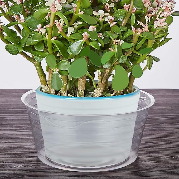 Idyllize 10 Pieces of 12 Inch Clear Thin Deep Plastic Plant Saucer Drip Tray for Pots (12'')