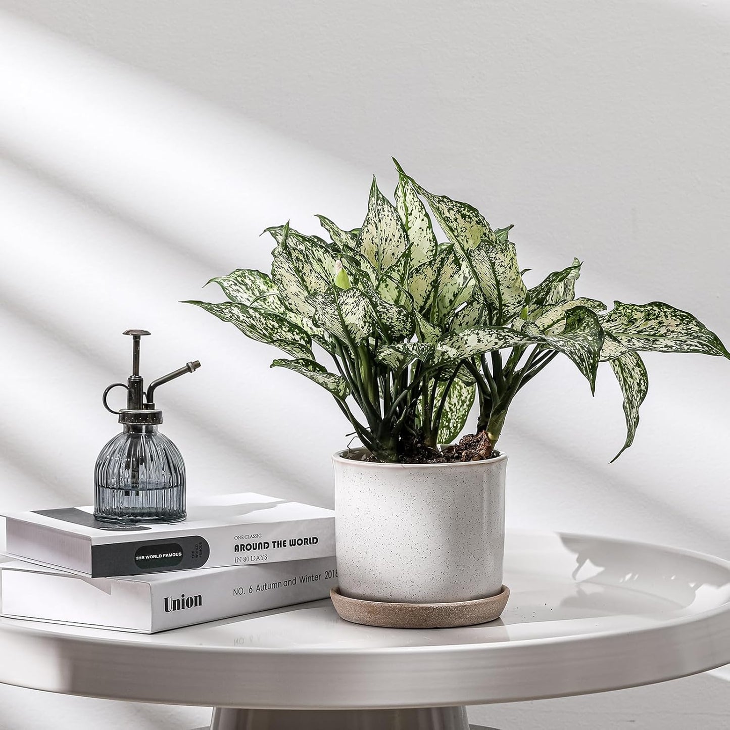 5.8 Inch Plant Pot: Ceramic Planter with Drainage Hole & Saucer for Indoor Outdoor Plants - Flowerpot with Bonded Tray for Home Office - Retro Style, Grey