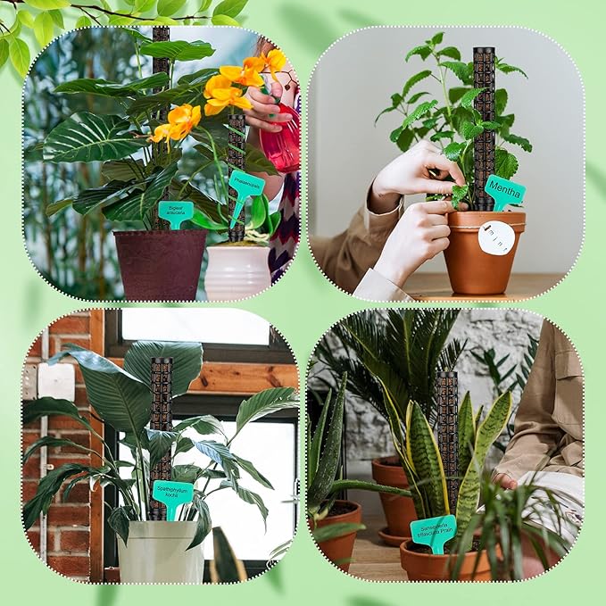 10 Set Plastic Moss Poles for Climbing Plants Indoor Stackable Self Watering Hollow Monstera Plant Support, Moss Not Included(Black)