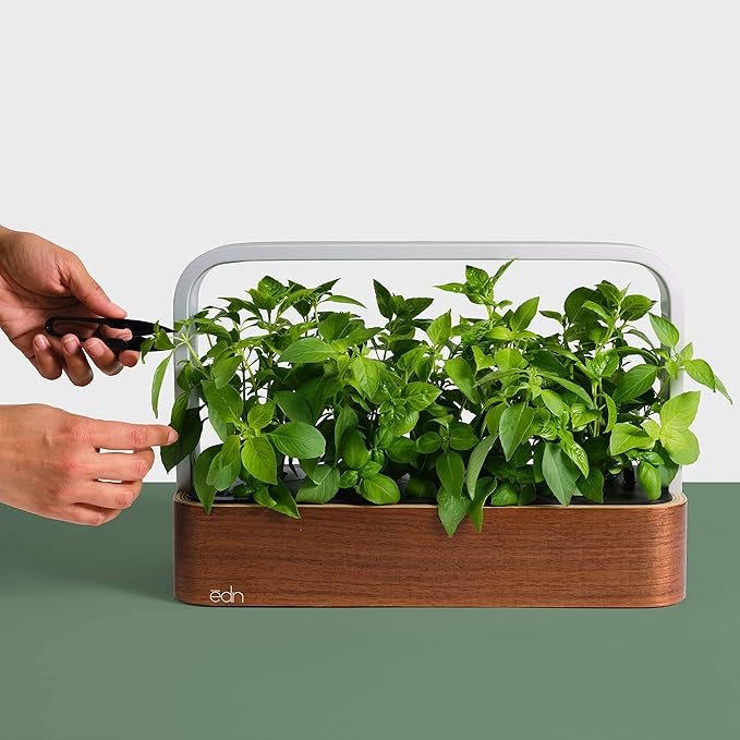 SmallGarden with Basil SeedPods, Indoor Grow Smart Garden for iOS Devices - Fresh Home Grown Herbs, Plants and Flowers - Grow up to 10 Different Plants at Once