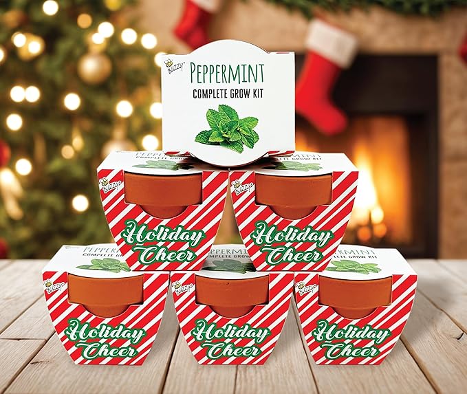 BUZZY Seeds Terracotta Holiday Mini Grow Pot Candy Cane | Peppermint 6-Pack | Herb, Plant Starter Kit for Kids & Adults | Guaranteed to Grow | Best Indoor Gardening Gifts, Favors, Stocking Stuffers