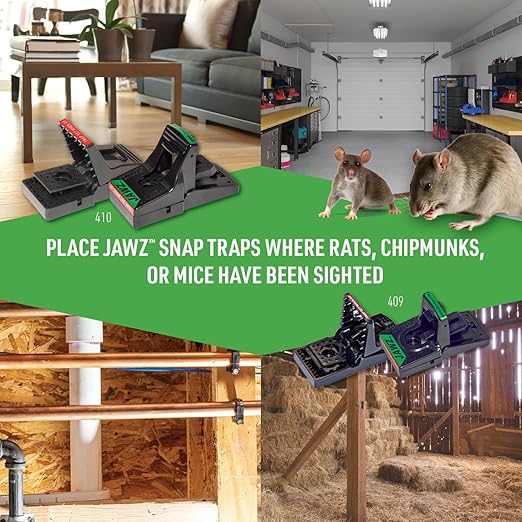 JAWZ Plastic Rat Traps – 12 Pack Bulk Snap Traps for Rats – Durable, Reusable Rodent Control – Easy to Set, Bait & Clean