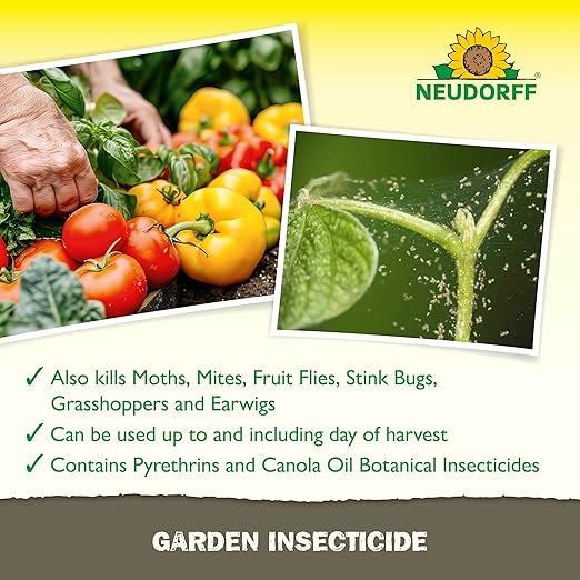 Garden Insecticide Spray for Roses and Flowers, Kills Fruit Flies, Fungus Gnats, and 100+ Listed Insects on Contact for Organic Gardening, Contact Insecticide, Ovicide Spray (32 oz)