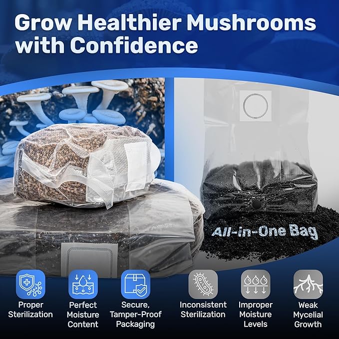 Surfin' Spores All-in-One Mushroom Grow Kit | 6 lb Grow-in-Bag Kit/Monotub Refill | Includes: 2 lb Sterile Grain Bag with Injection Port & 4 lb Organic CVG Substrate | Spores Not Included (Pack of 2)