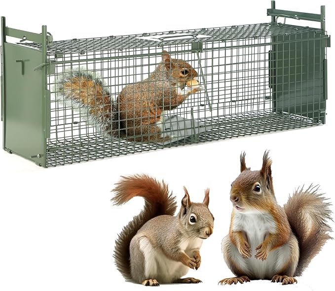 26" 2-Door Live Animal Traps for Stray Cats up to 5.5 pounds, Raccoons, Squirrel, Skunk, Mole, Groundhog, Armadillo, Rabbit, with Pedal Triggers