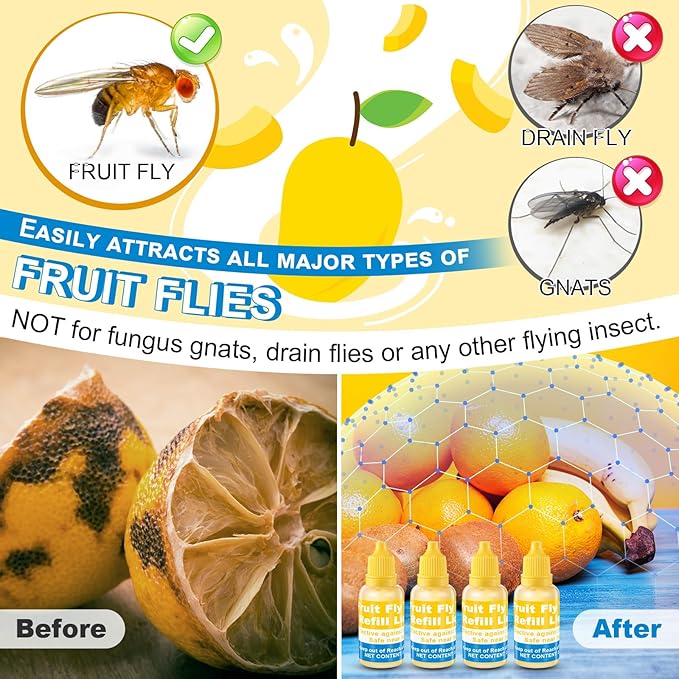 Qualirey Fruit Fly Trap for Indoor and Kitchen Use, 0.68 oz Each Bottle Fruit Fly Trap Refill Liquid, Ready to Use, Safe Near Food, Efficient Lure Refill Liquid, Yellow(6 Pack)
