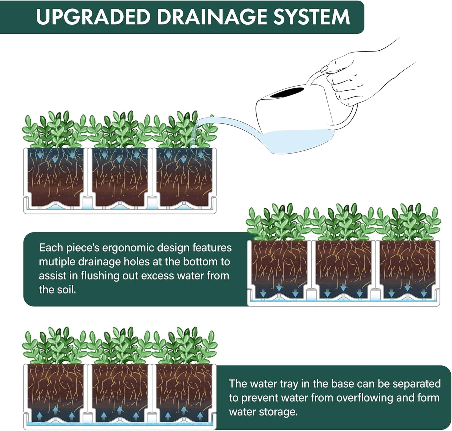 D'vine Dev Herb Garden Planter Set, Plastic Plant Pots with Drainage and Saucer, Indoor Succulent Cactus Vegetable Pot for Windowsill, Garden Balcony, Clear, Set of 2, 76-V-D-2