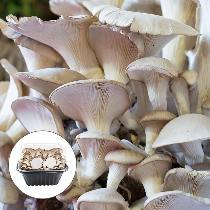 24-Pack 2.5" Monotub Filter Disks - 2MM Thick Adhesive Patch for Mushroom Growing, Fit for Monotub & Fruiting Chambers, Mushroom Growing Supplies