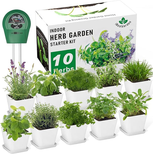 Herb Garden Kit Indoor Herb Garden Starter Kit - 10 Kitchen Herbs Seeds Growing Kit Window Herb Garden Planter Indoor Kit for Windowsill Countertop - Unique Gardening Gift for Women Men