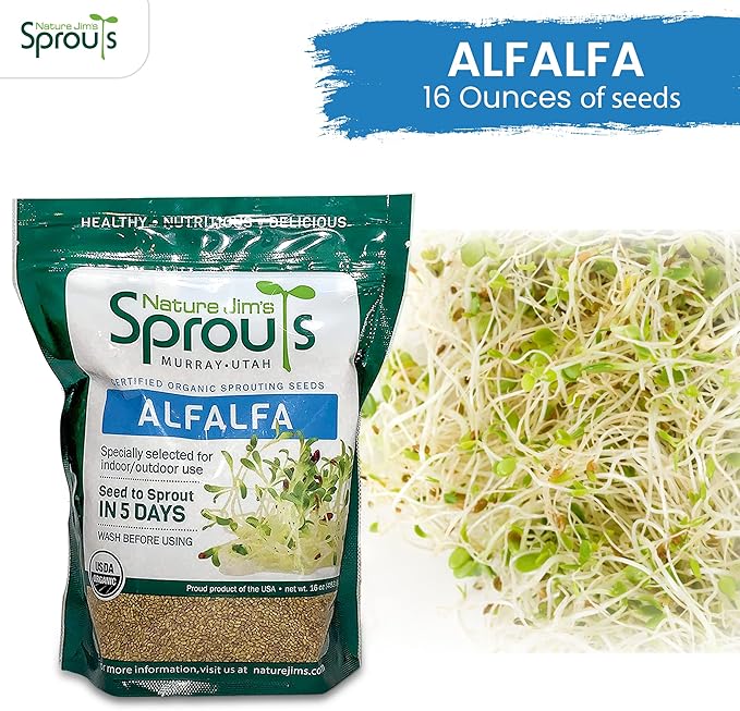Nature Jims Sprouts Alfalfa Seed – 16 Oz Organic Sprouting Seeds – Non-GMO Premium Alfalfa Seeds – Resealable Bag for Longer Freshness – Rich in Vitamins, Minerals, Fiber