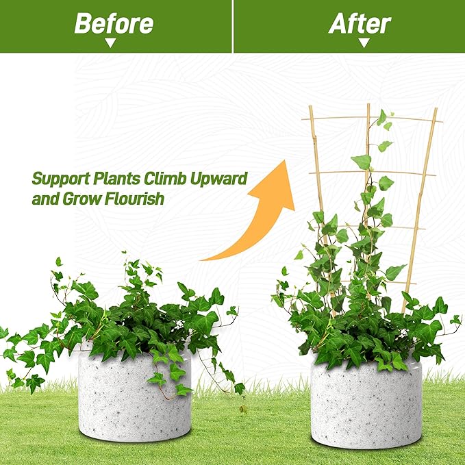 Avalution 10 Pack Bamboo Trellis for Climbing Plants, 2 FT Garden Ladder Trellis for Potted Plants Indoor, Fan-Shaped Small Plant Support Trellis for Houseplants Ivy Hoya Vine Monstera