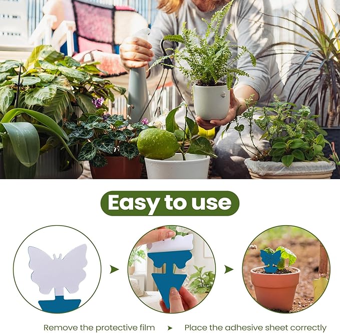 Qualirey 200 Sheets Fruit Fly Sticky Traps for Fruit Fly Gnat Trap for House Indoors Sticky Traps Catcher for Gnats Fungus Gnats Mosquito Catcher for Kitchen Outdoor Plants(Blue)