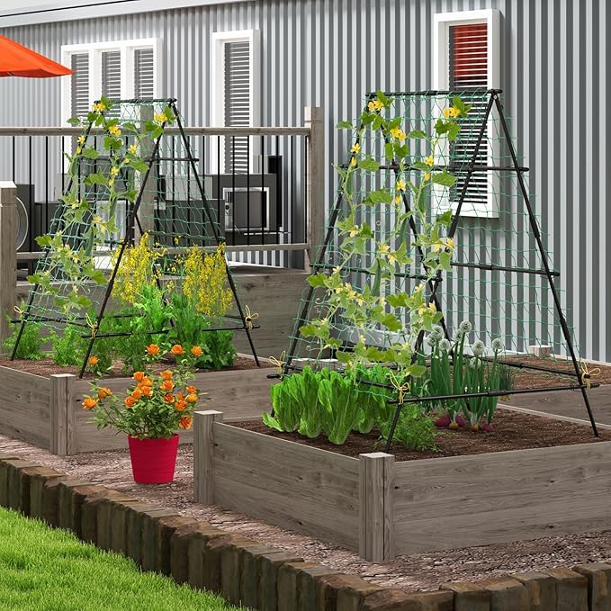 Garden Trellis for Climbing Plants Outdoor, A Frame Plant Trellis with Climbing Net, Coated Metal Poles, Twisted & Clips, Grape Trellis Plant Support for Vines, Vegetables, Fruit & Flower