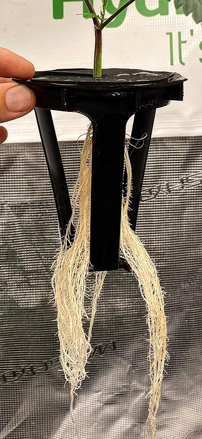 DWC Hydroponics Grow System, 5-Gallon Deep Water Culture with Air Hose, Air Pump, and Air Stone (1)