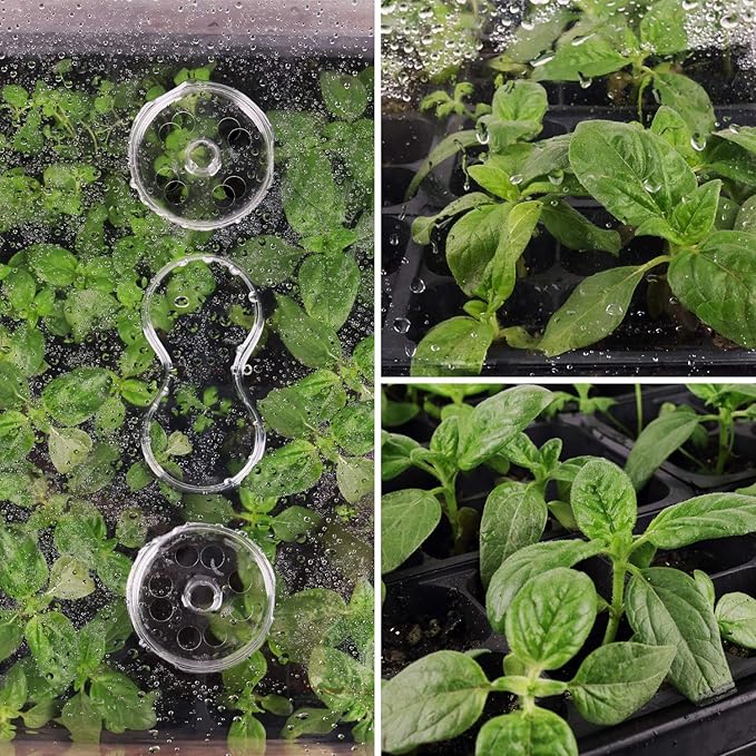 [Thick Plastic] 3-Set Strong Seed Starter Trays with 5" Humidity Domes for Seed Starting, Germination, Seedling Propagation & Plant Growing, Holds 144 Cells in Total