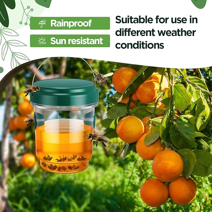 Qualirey 2 Pcs Wasp Traps for Outdoors Wasp Killer Hanging Bee Traps Reusable Fly Bee Killer for Indoor Outdoor Patio Garden Home (Green)