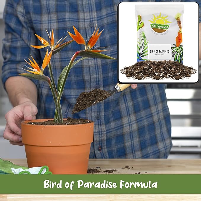 Bird of Paradise Potting Soil Mix (8 Quarts), All Natural Mix for Indoor/Outdoor Container Tropical Plants