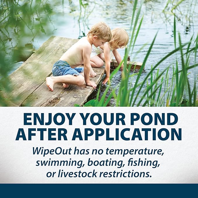 Airmax Wipeout Pond Weed Defense, Herbicide & Aquatic Weed Control, Controls Duckweed & Other Unwanted Submerged & Floating Vegetation, Easy-to-Use & Long Lasting, All-Season Treatment - 16 Ounce
