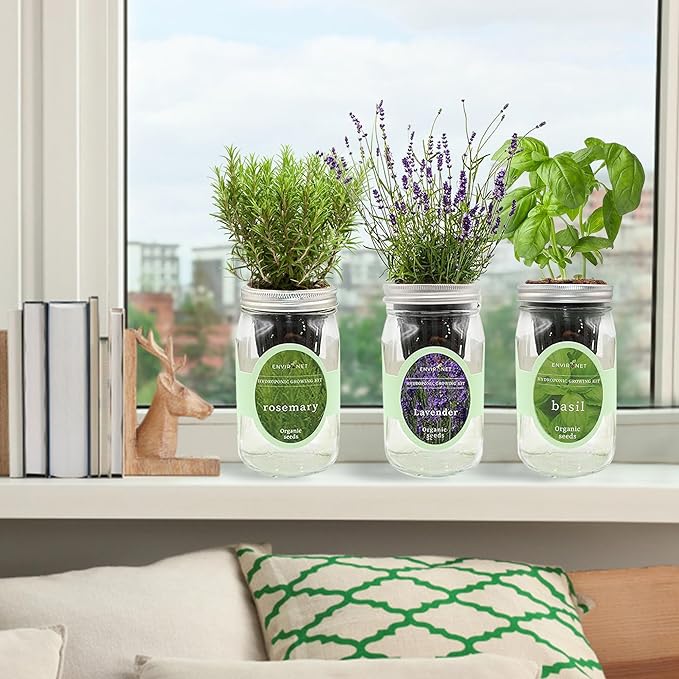 Hydroponic Herb Growing Kit Set, Self-Watering Mason Jar Herb Garden Starter Kit Indoor, Grow Your Own Herbs from Seeds (Lavender, Rosemary & Basil)