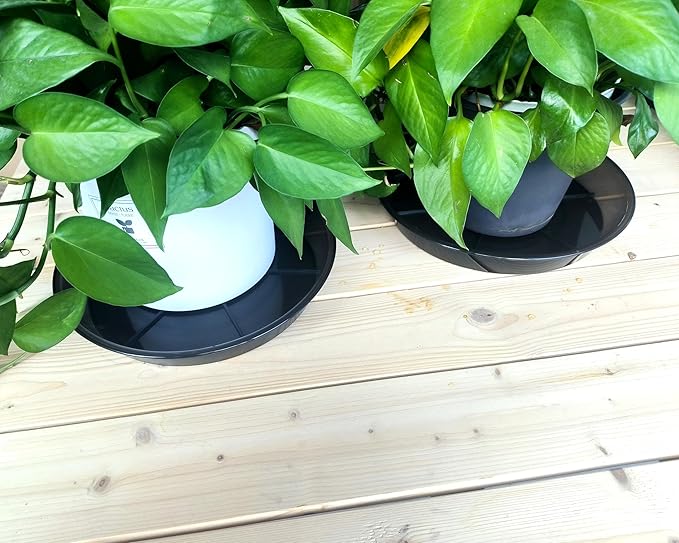 Plant Saucer 12 Inch 6 Pack, Plant Trays for Pots Heavy Duty Round Plastic Plant Saucers for Indoors Outdoors, Flower Pot Drip Trays, Clear Black Flower Plant Pot Saucer, Plant Pot Tray