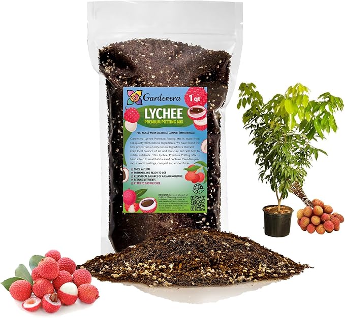 Premium Lychee Potting Soil Mix - Perfect Balance of Nutrients, Drainage, and Aeration for Thriving Lychee Trees - 1 Quart