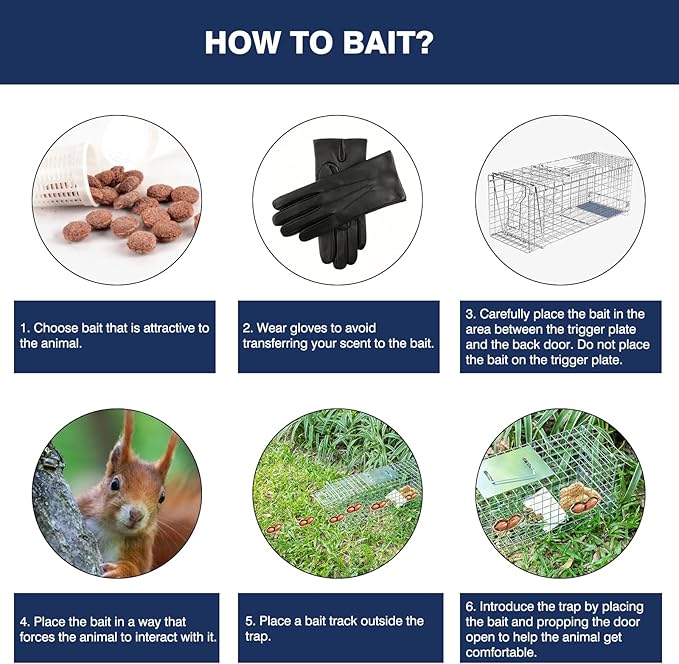 Animal Trap Cage, 24 Inch Live Traps for Raccoons Heavy Duty, Cat Trap for Stray Cats, Squirrels, Raccoon, Rabbits, Possum, Skunk, Outdoor Small Animal, Humane Catch & Release, Foldable