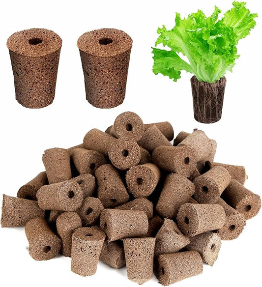 70 Pack Grow Sponges, Starter Plug for Seeds or Cuttings, General Hydroponics Rapid Rooter Plugs for Seedling Herbs Lettuce Vegetable Flower, Great for Soil or Hydroponics Growing System (Cylinder)