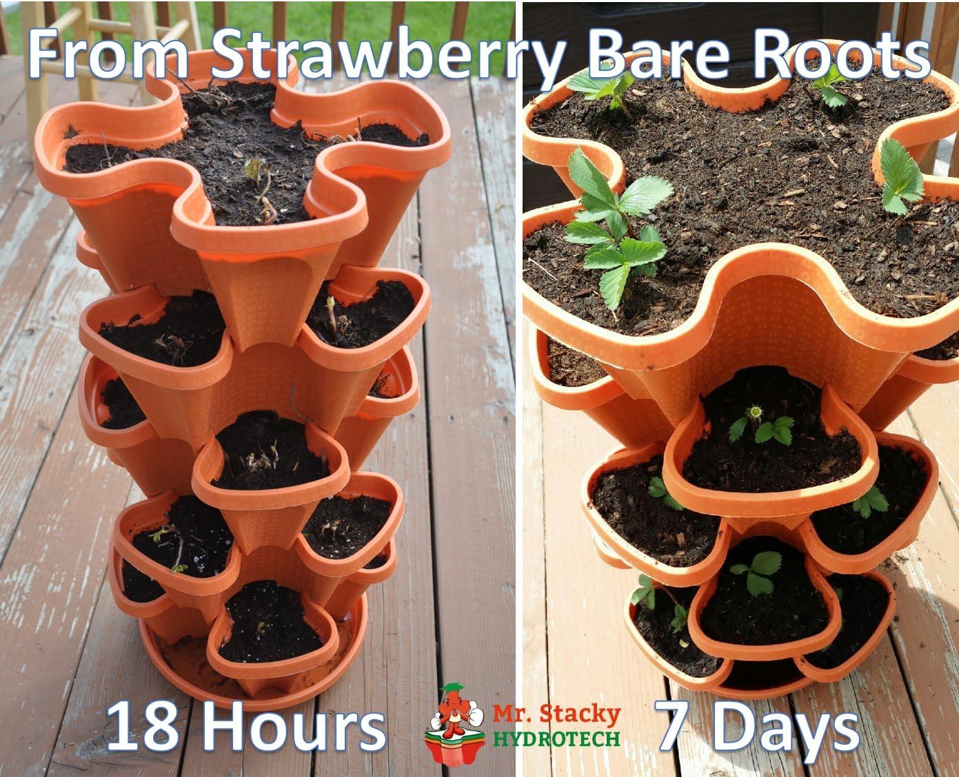 5 Tier Stackable Strawberry, Herb, Flower, and Vegetable Planter - Vertical Garden Indoor/Outdoor
