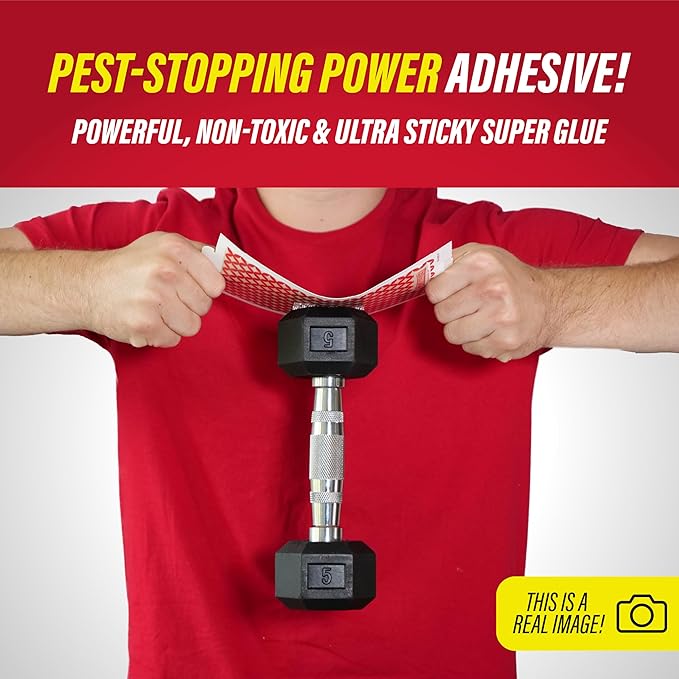 Catchmaster Pro Series Multi-Catch Mouse Trap, Humane Mouse Trap Indoor for Home, Includes 1 Replaceable Glue Board, Pet Safe Pest Control, Live Catch for Garage & Shed