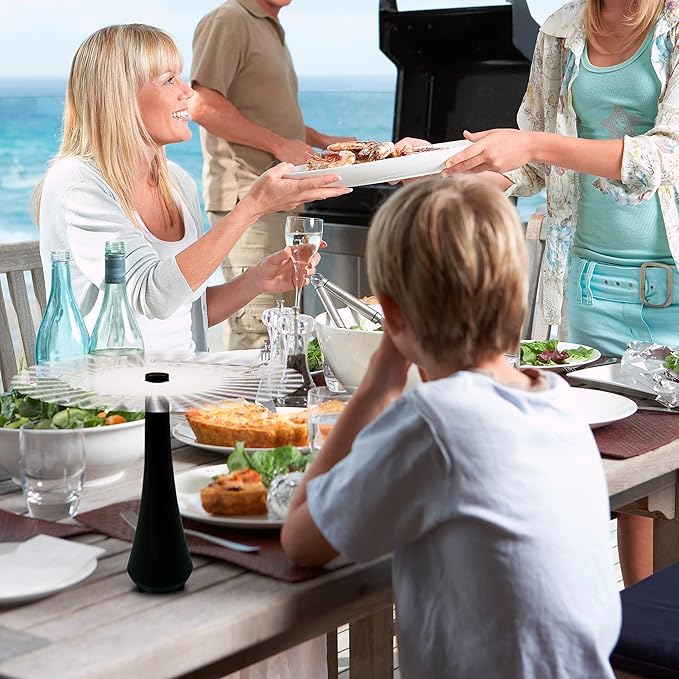 Fly Swatter for Outside or Inside Meal, Picnic Fan for Table Use, Fly Fans for Tables, Barbeque, Events, Battery Operated Food Spinning Fan