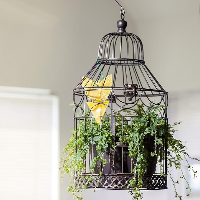 Trappify Sticky Gnat Traps for House Indoor - Yellow Fruit Fly Traps for Indoors|Outdoor Plants | Insect Catcher for White Flies, Mosquitos, Fungus Gnats | Disposable Glue Fly Trap Indoor (25 Pack)