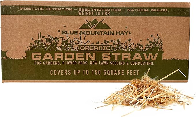 Blue Mountain Hay | Organic Garden Straw (10 lb) | Natural Mulch for Gardening, Flower Beds, Yard Landscaping, New Lawn Grass Seeding, Composting | Covers up to 150 sq ft