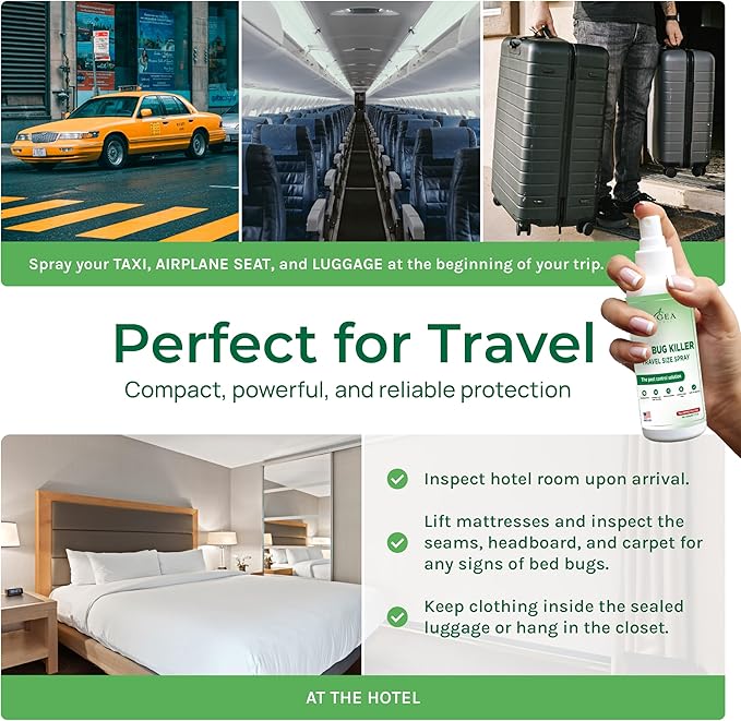 Lice and Bed Bug DIY Kit- Non-Toxic, Odorless,Safe for children and pets, All water safe surfaces - Includes Bed Bug Spray and Bedbug Travel Spray TSA approved size